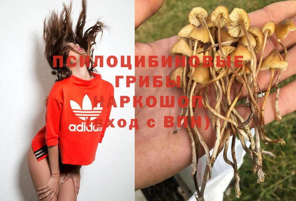 СК Бородино
