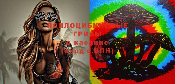 кристаллы Богданович