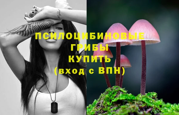 a pvp Бронницы