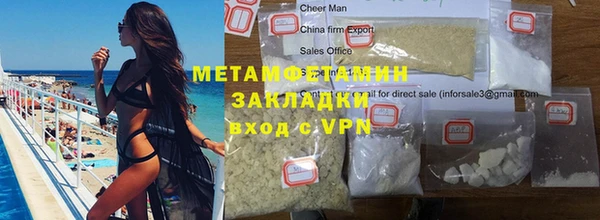 ПСИЛОЦИБИНОВЫЕ ГРИБЫ Сосновый Бор