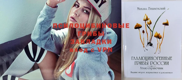 кристаллы Богданович