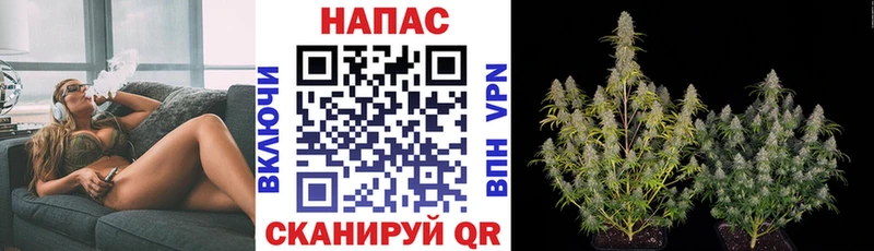 Каннабис планчик  Козельск 
